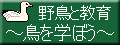 �쒹�Ƌ���@�����w�ڂ�